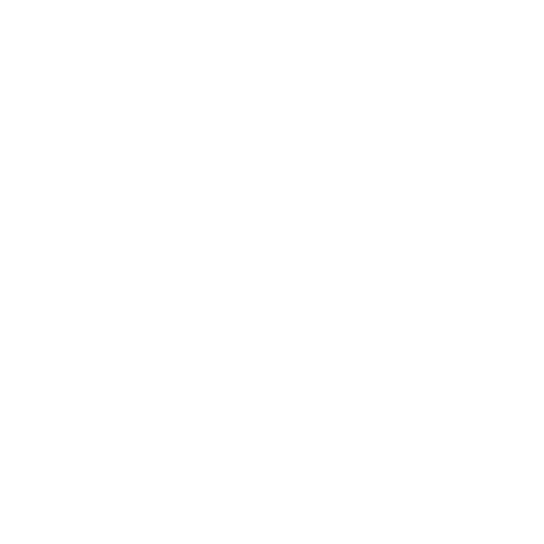 Next Level Auto Detailing
