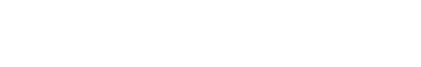 Next Level Auto Detailing